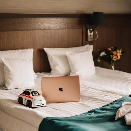 Szary 3* מיכלוביצה