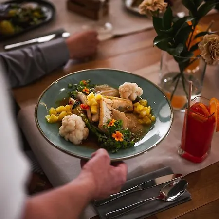 Szary 3* מיכלוביצה