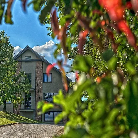 Hotel Szary