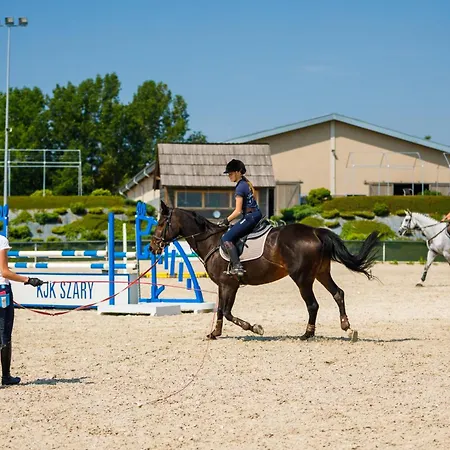 Szálloda Szary Michałowice