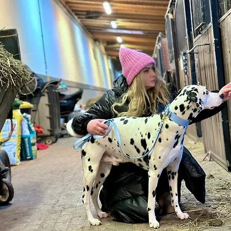 Szary מיכלוביצה