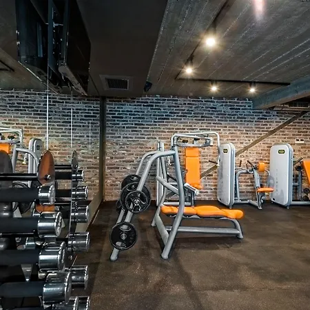 Szary 3* Michałowice