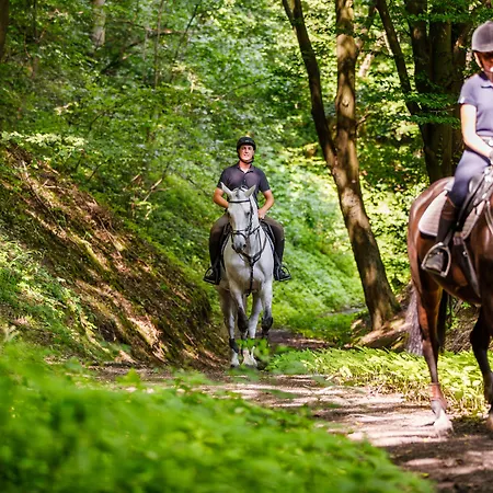 Szary 3* Michalowice (Lesser Poland)