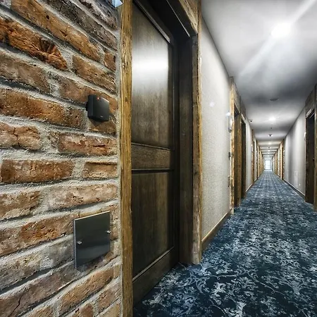 Hotel Szary