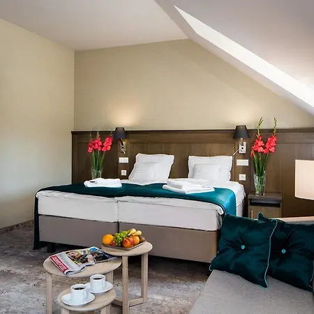 Hotel Szary