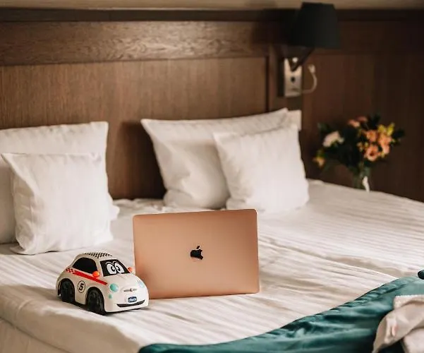 Szary 3* Michalowice (Lesser Poland)